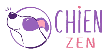 Logo Chien Zen Academy